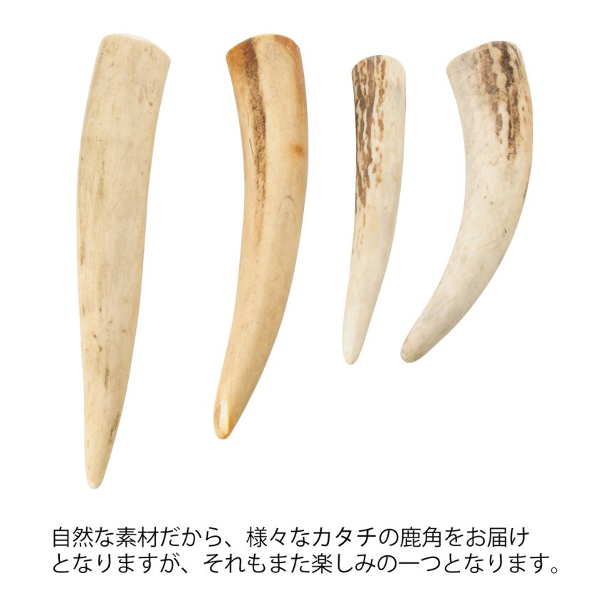安心・安全の国産 北海道のエゾ鹿の角【10cm(大)1本/7cm(小)1本】鹿の
