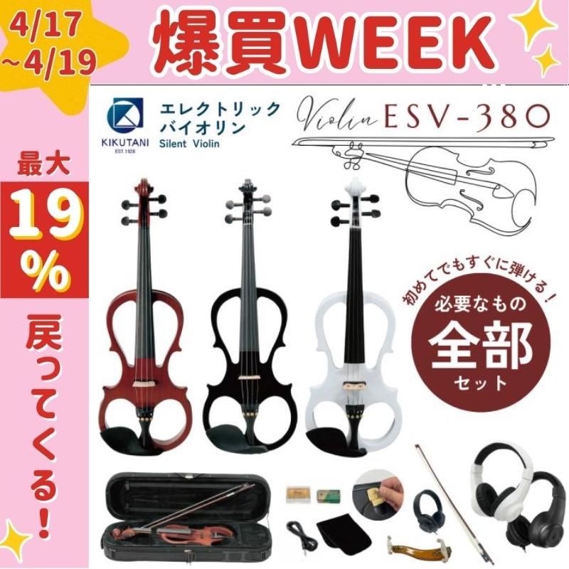 KIKUTANI（キクタニ） 【最短翌日お届け】【エレクトリック